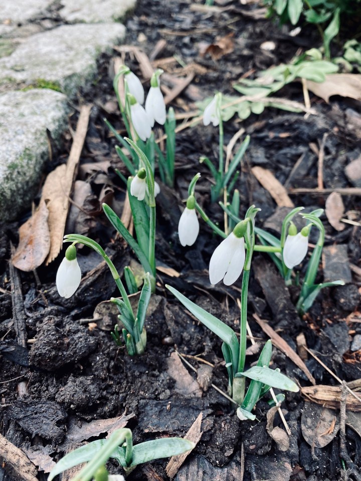 Embracing the Beauty of&nbsp;Winter