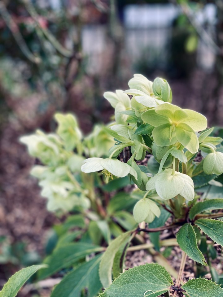 A February Nature&nbsp;Walk