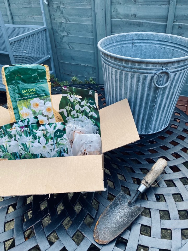 Thinking Ahead: Making a Bulb&nbsp;Lasagne