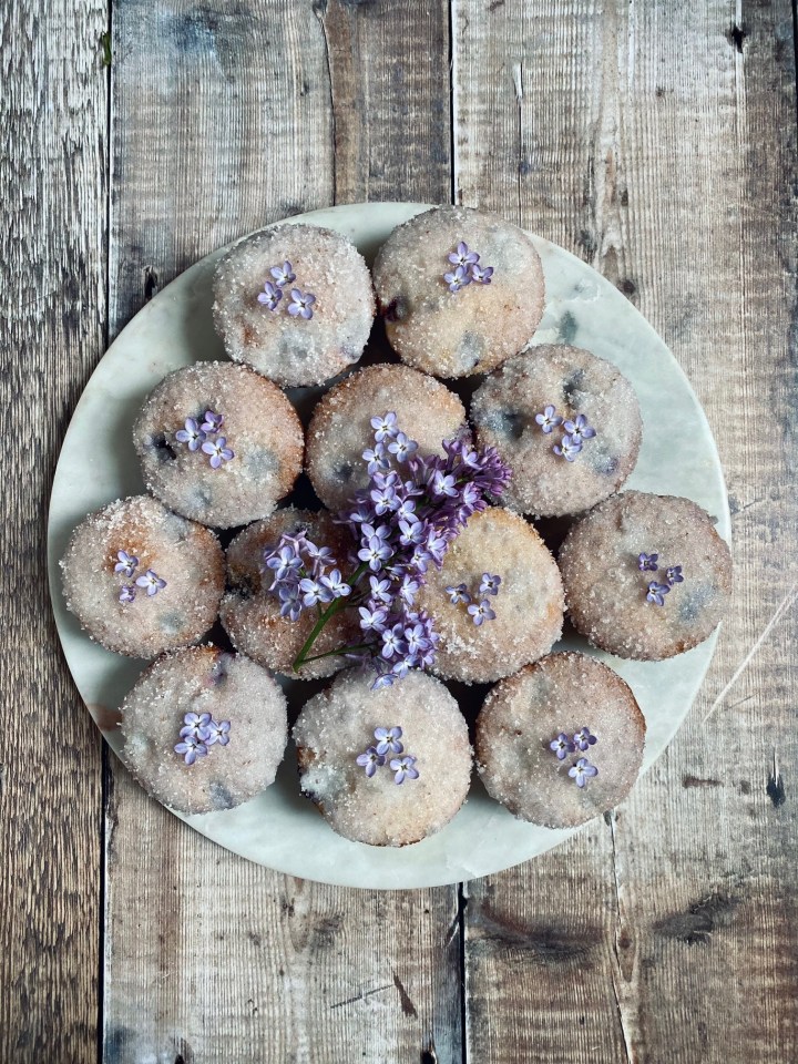 Lilac and Blueberry&nbsp;Muffins