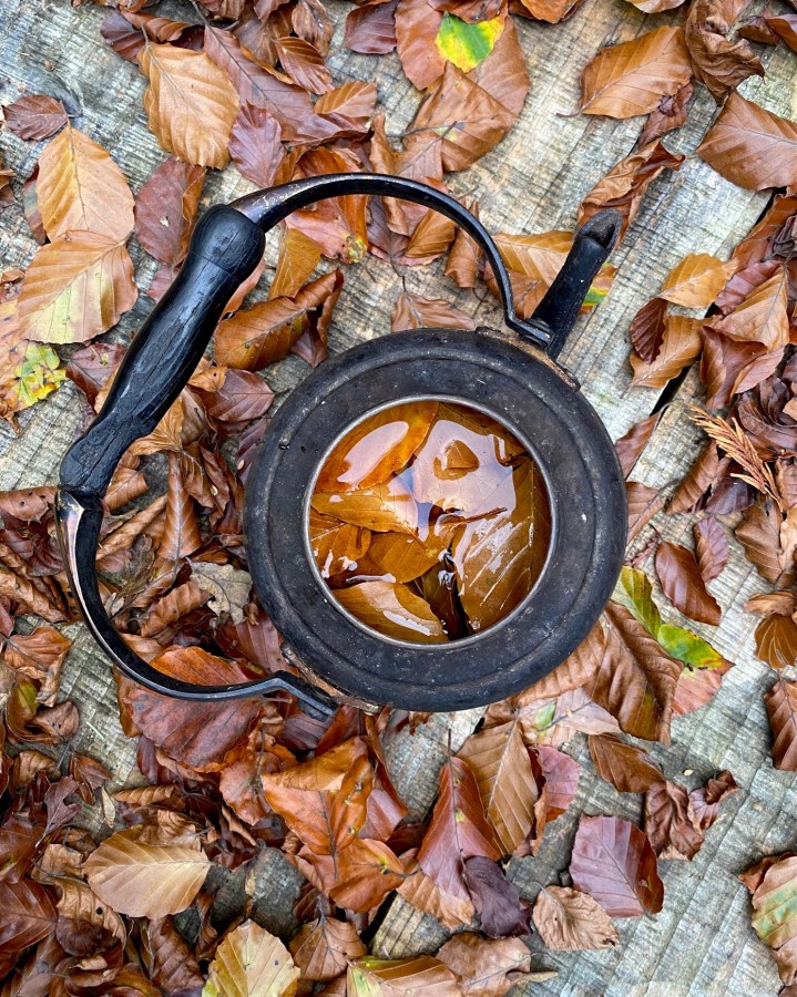 A Trio of Wild Teas for Autumn &&nbsp;Winter