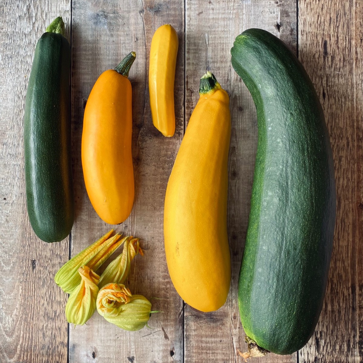 A Courgette Glut Survival&nbsp;Guide